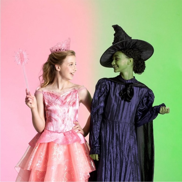 Wicked Galinda Costume - Picture 7 of 14